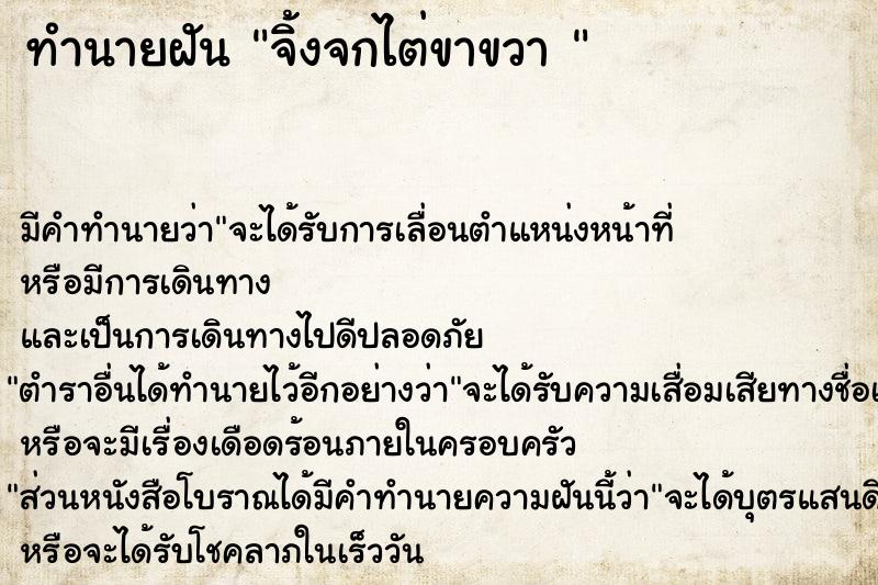 ทำนายฝัน จิ้งจกไต่ขาขวา 